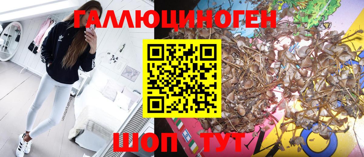 Армавир  Галлюциногенные грибы ЛСД  Вход с VPN 